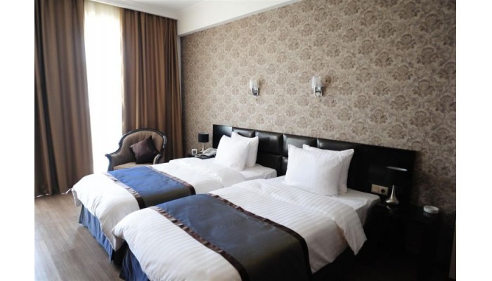 Best Western Tbilisi Art Hotel poza 4