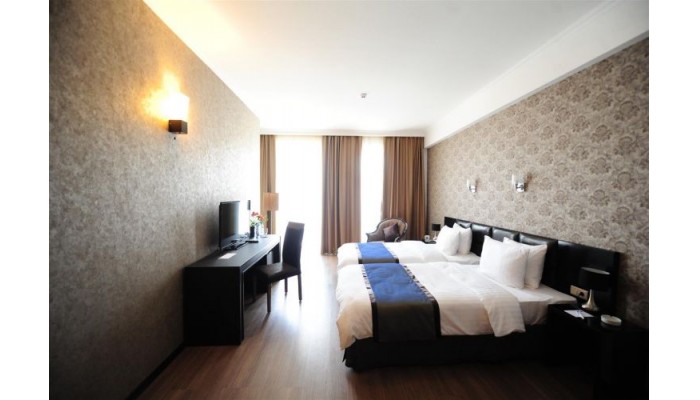 Best Western Tbilisi Art Hotel poza 5