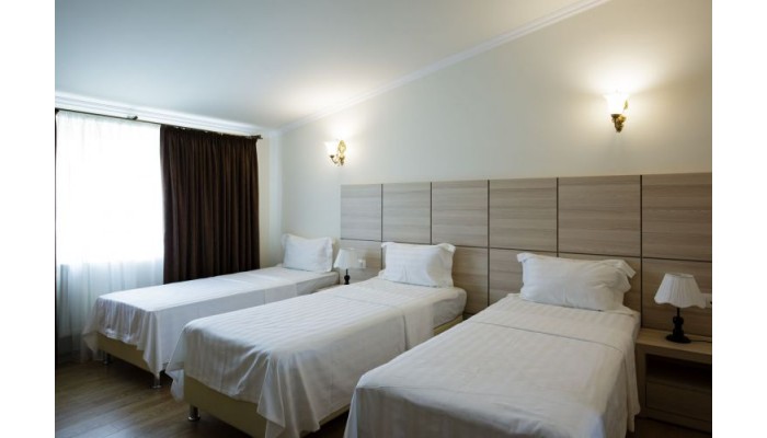 Hotel Gremi poza 1