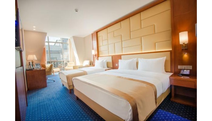 New Tiflis Hotel poza 2